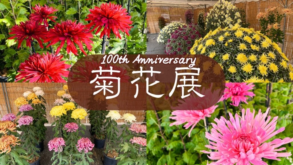 丹波篠山市菊花展 ｰ100th Anniversaryｰ