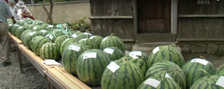 大山　ふれあい市場スイカ祭