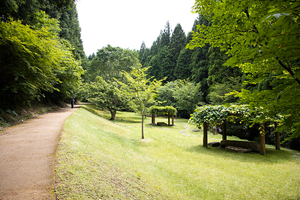 Hyogo Prefectural Sasayama no Mori Park