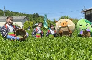 第42回大国寺と丹波茶まつりの写真