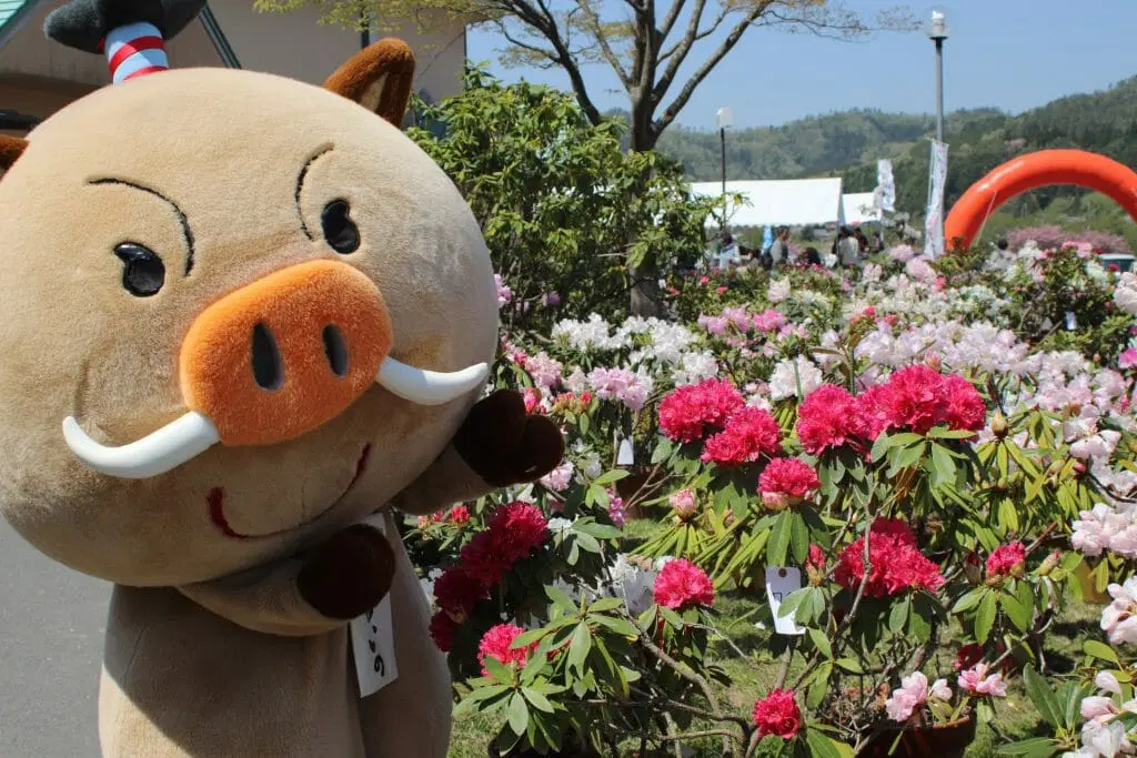 Nishiki Rhododendron Park