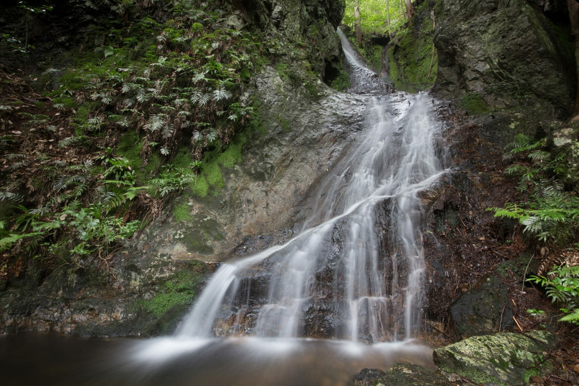 篠村様確認用 筱見四十八滝 | 丹波篠山市公式観光サイト『ぐるり！丹波篠山』丹波