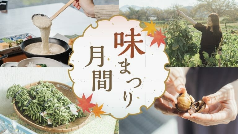 【2025年最新！丹波篠山味まつり月間】丹波篠山黒枝豆 販売解禁情報