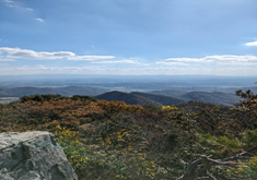 Concierge Recommended 1 Day Tour – Mountain Excursion and Pottery Making Experience in Tachikui Pottery Village “Sue-no-Sato”