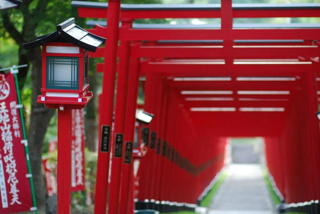 Ojiyama Makekirai Inari Shrine Setsubun Star Festival [Ojiyama Makekirai Inari Shrine]