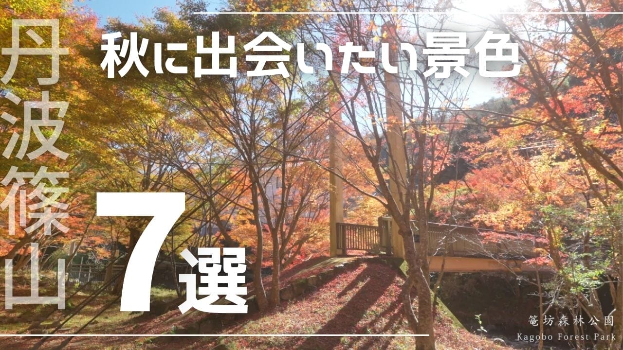 秋に出会いたい、兵庫県丹波篠山市の景色 7選