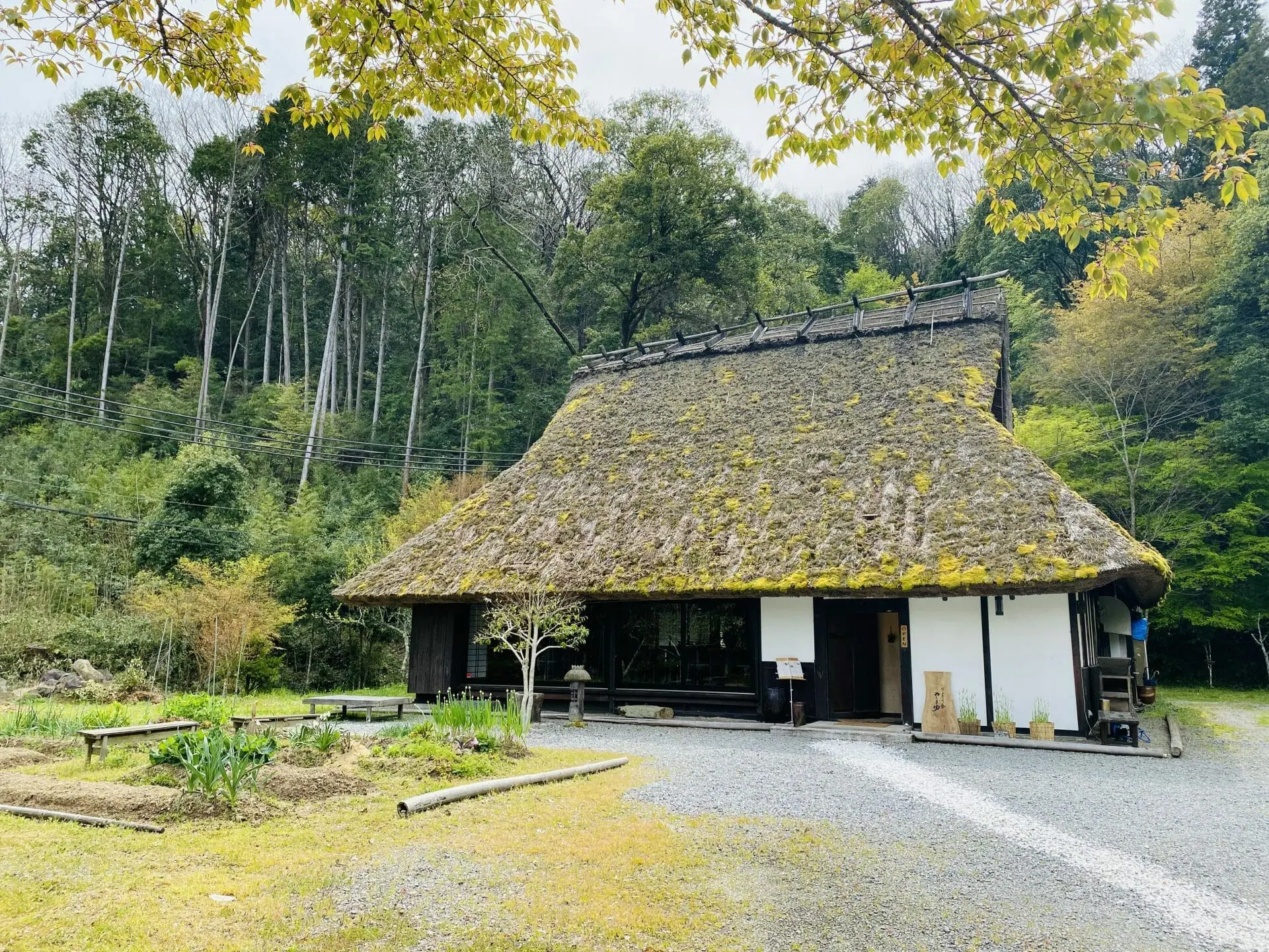 りょうり舎 やまゆ