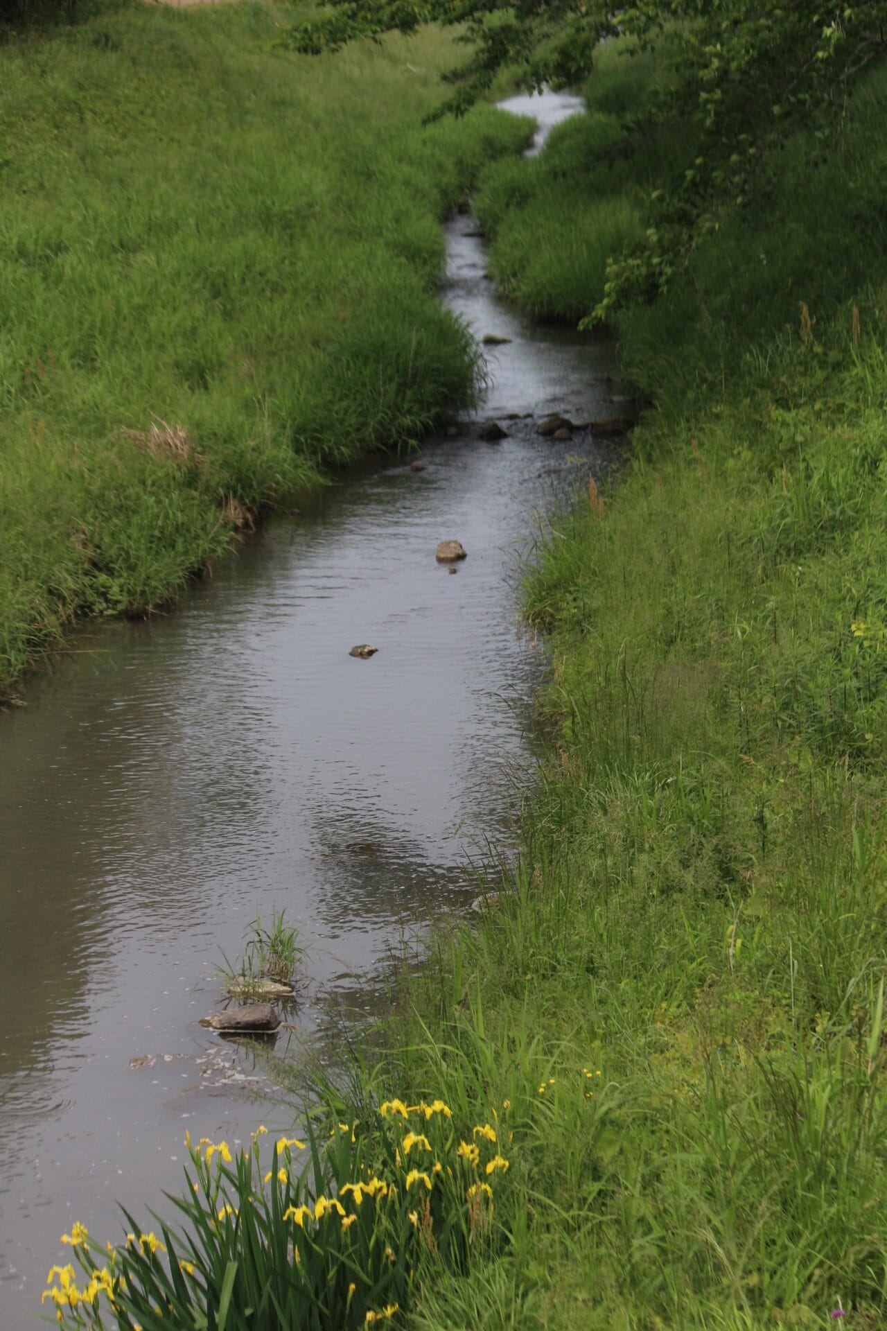 En amont… vers la source de la Mukogawa1