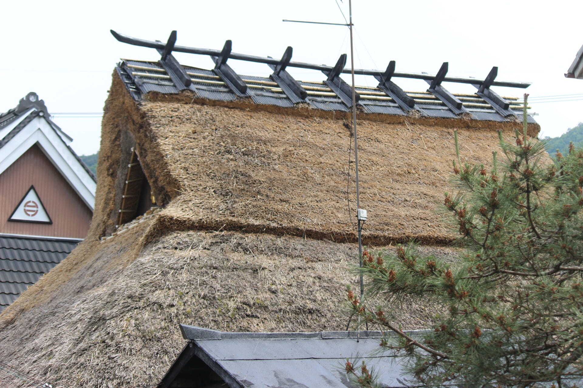 En amont… vers la source de la Mukogawa2